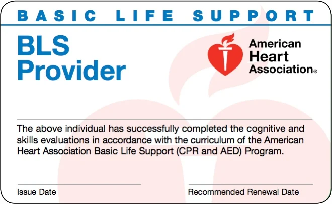 Basic-Life-Support-course-certification Instructor-led BLS certification course teaching how to perform CPR and master life-saving skills for emergency care